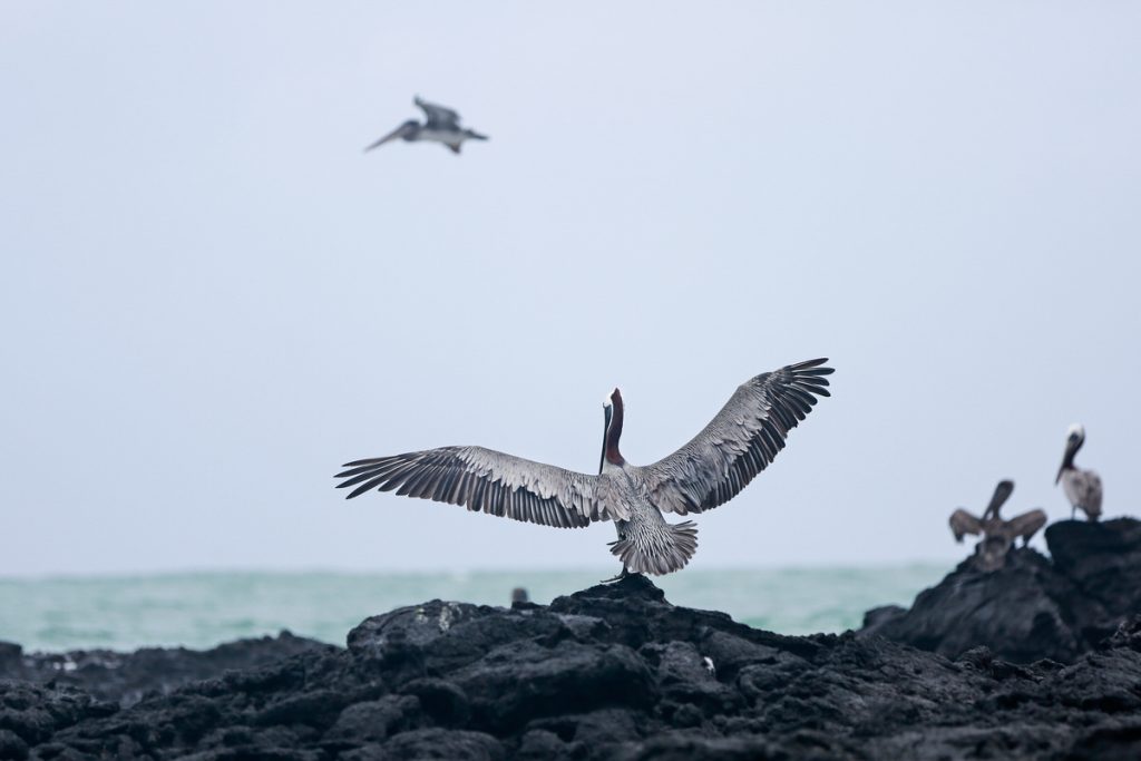 _54A9430.JPG (Raw)-Edit